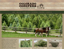 Tablet Screenshot of coloradoconifers.com